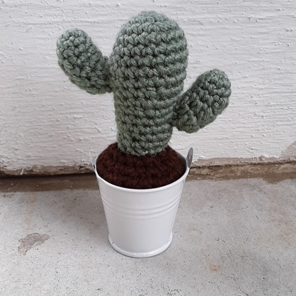 Set Handmade Crochet Cactus - Picture 4 of 4